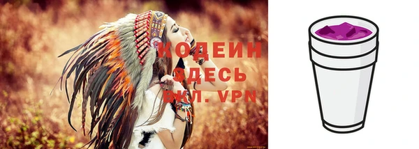 ECSTASY Бородино