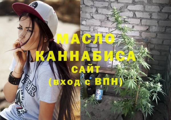 ECSTASY Бородино