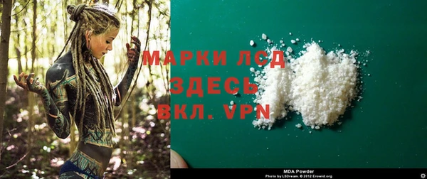 ECSTASY Бородино